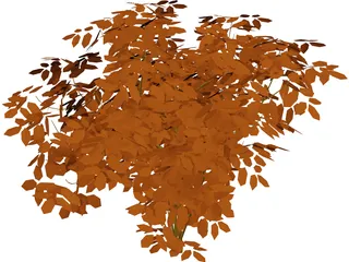 Cherry Tree 3D Model preview