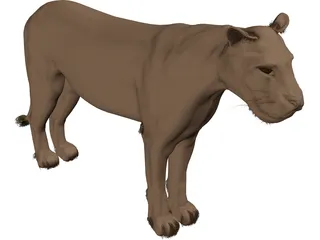 Lioness 3D Model preview