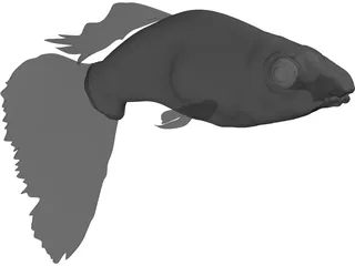 Guppy 3D Model preview