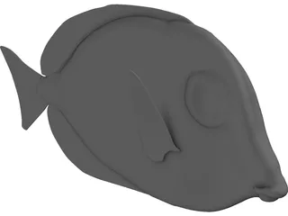 Amblyrhyncotes 3D Model preview