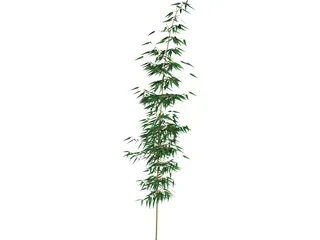 Bamboa 3D Model preview