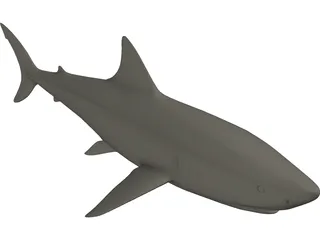 Shark White Male 3D Model preview