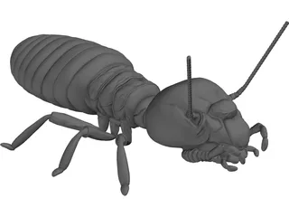 Termite 3D Model preview