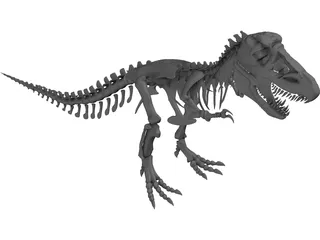 Tyrannosaurus Rex Skeleton 3D Model preview