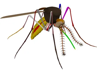Mosquito 3D Model preview