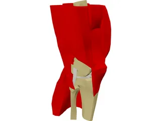 Knee 3D Model preview