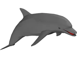Dolphin 3D Model preview