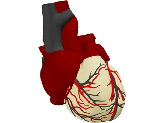 Heart with Internal Parts 3D Model preview