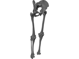 Knee 3D Model preview