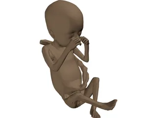 Fetus 3D Model preview