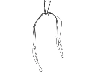 Veins and Arteries Upper 3D Model preview