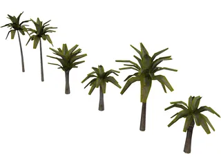 Palm Collection 3D Model preview