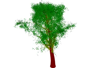 Tree 3D Model preview