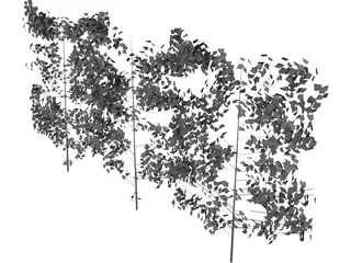Hedge 3D Model preview