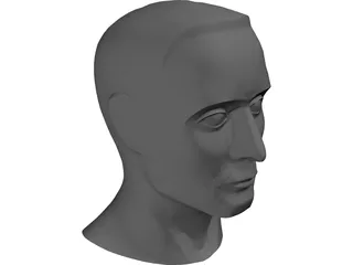 Head Male 3D Model preview