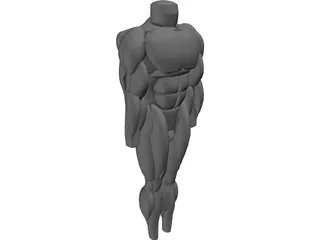 Muscles Body 3D Model preview