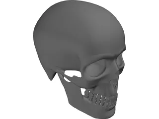 Skull 3D Model preview