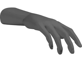 Hand Male 3D Model preview