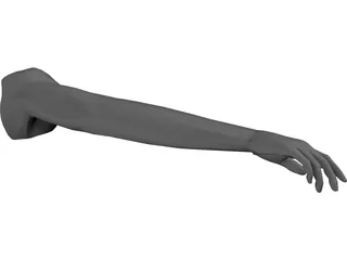 Arm Male 3D Model preview