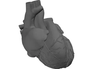 Heart 3D Model preview