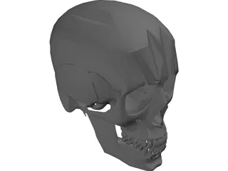 Skull 3D Model preview