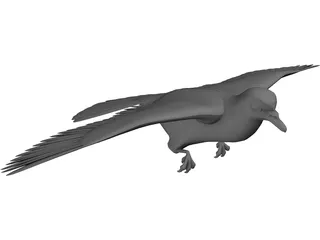 Dove 3D Model preview