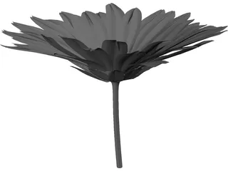 Daisy 3D Model preview