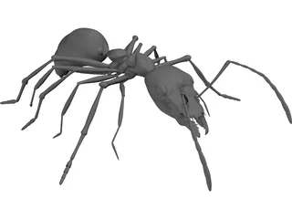 Ant 3D Model preview