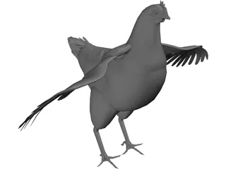 Chicken 3D Model preview