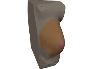 Breast 3D Model preview