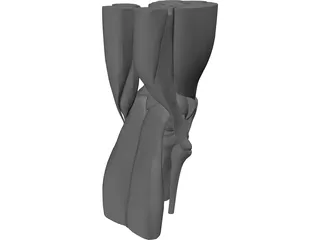 Knee 3D Model preview