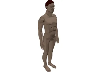 Man 3D Model preview