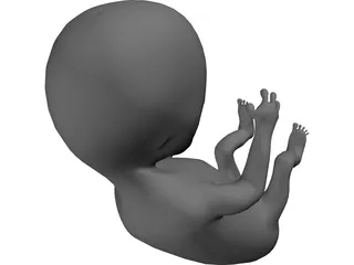 Baby Fetus Infant 3D Model preview