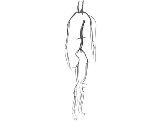 Circulatory System 3D Model preview