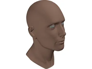 Head Male 3D Model preview