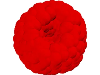 Raspberry 3D Model preview