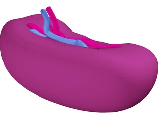 Spleen 3D Model preview