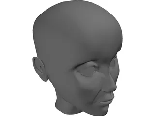 Human Head 3D Model preview