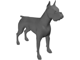 Dog Boxer 3D Model preview