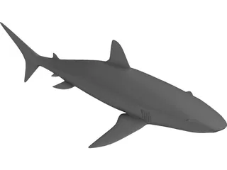 Shark 3D Model preview