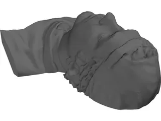 Face Human Digitalized 3D Model preview