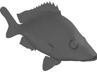 John Dory Type Fish 3D Model preview