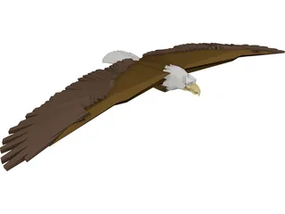 Bald Eagle 3D Model preview