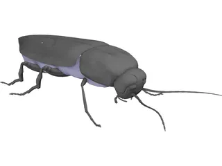 Firebeetle 3D Model preview