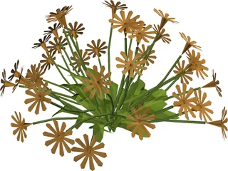Flower Garden 3D Model preview