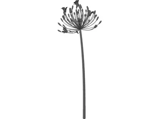 Bell Agapanthus Flower 3D Model preview