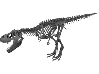 Tyrannosaurus Rex Skeleton 3D Model preview