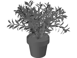Albero 3D Model preview