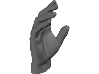 Hand 3D Model preview