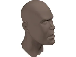 Human Head Face 3D Model preview